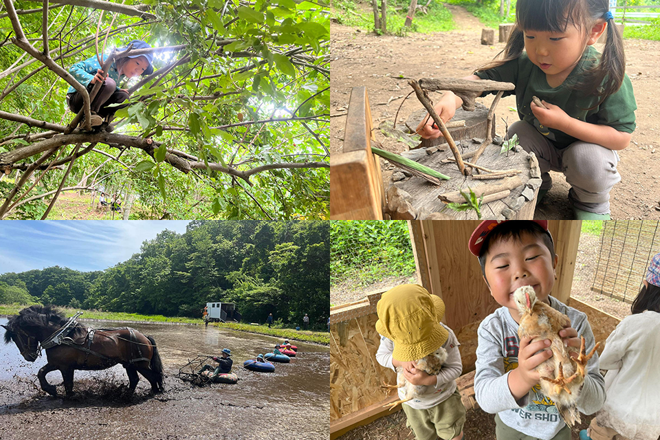 自然の中で学ぶ子どもたちの写真